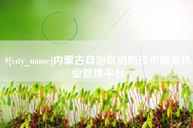 河南内蒙古自治区消防技术服务执业管理平台