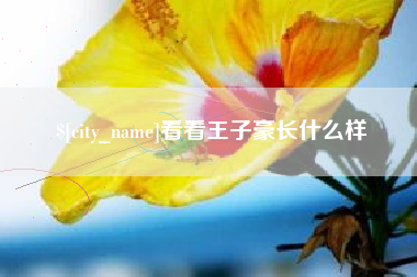 河南看看王子豪长什么样