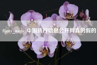 河南中国执行信息公开网真的假的