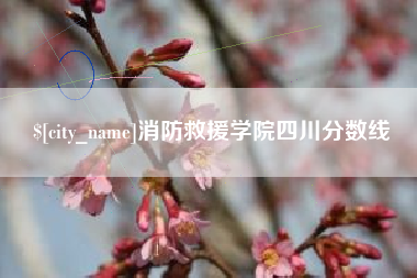 河南消防救援学院四川分数线
