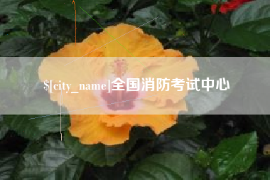 河南全国消防考试中心