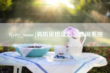 河南消防资格证怎么查询系统