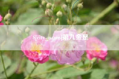 河南第九金是
