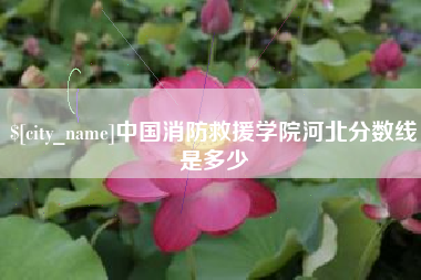 河南中国消防救援学院河北分数线是多少