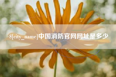 河南中国消防官网网址是多少