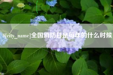 河南全国消防日是每年的什么时候