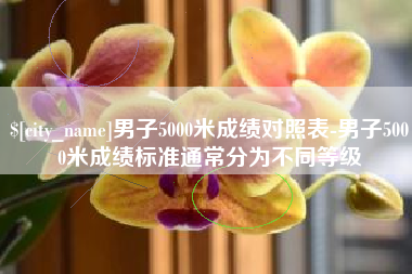 河南男子5000米成绩对照表-男子5000米成绩标准通常分为不同等级