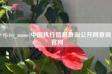 河南中国执行信息查询公开网查询官网
