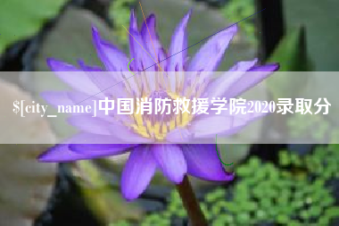 河南中国消防救援学院2020录取分