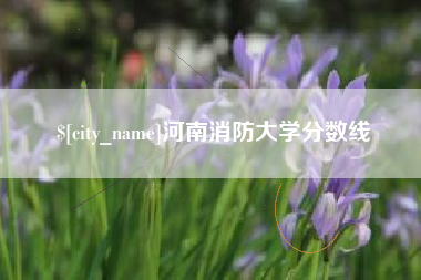 河南河南消防大学分数线