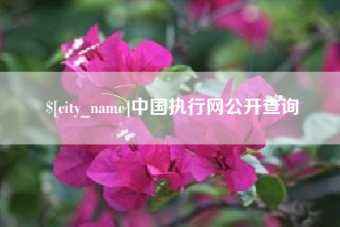 河南中国执行网公开查询