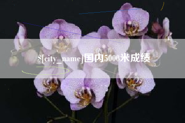 河南国内5000米成绩