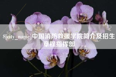 河南中国消防救援学院简介及招生章程指挥部