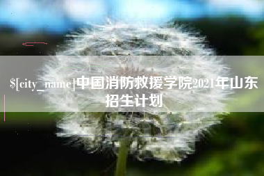 河南中国消防救援学院2021年山东招生计划