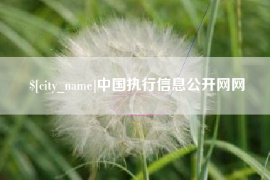 河南中国执行信息公开网网