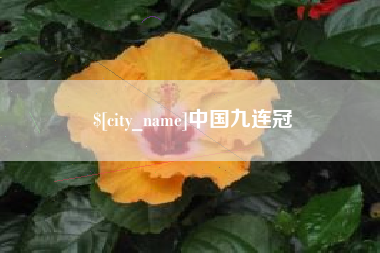 河南中国九连冠