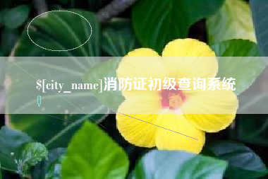 河南消防证初级查询系统