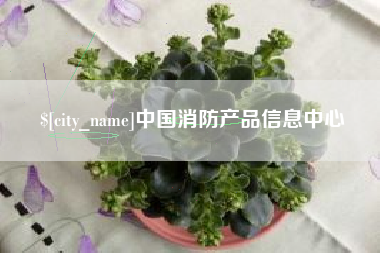 河南中国消防产品信息中心