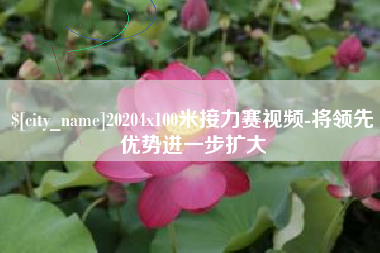 河南20204x100米接力赛视频-将领先优势进一步扩大