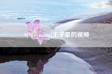 河南王子豪的视频