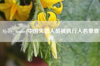 河南中国失信人员被执行人名单查询