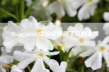 河南中国金牌得了几枚金牌