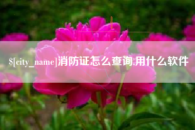 河南消防证怎么查询,用什么软件
