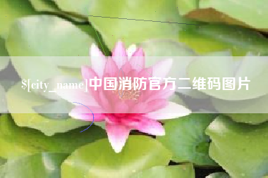 河南中国消防官方二维码图片