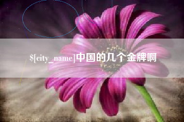 河南中国的几个金牌啊