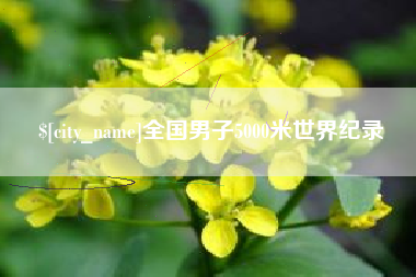 河南全国男子5000米世界纪录