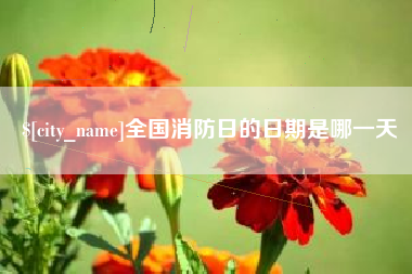 河南全国消防日的日期是哪一天