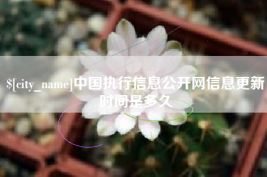 河南中国执行信息公开网信息更新时间是多久