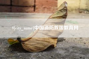 河南中国消防救援教育网