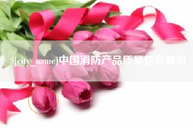 河南中国消防产品质量信息查询