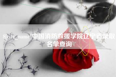 河南中国消防救援学院辽宁省录取名单查询