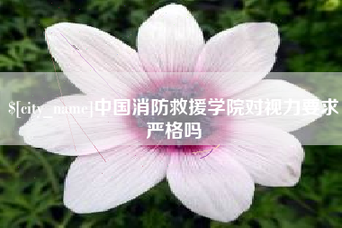 河南中国消防救援学院对视力要求严格吗