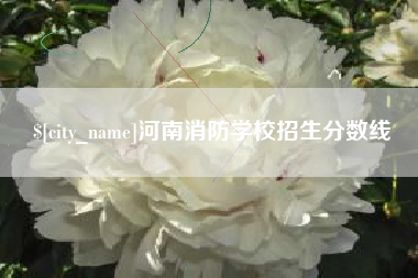 河南河南消防学校招生分数线