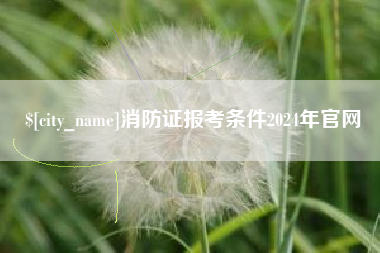 河南消防证报考条件2024年官网