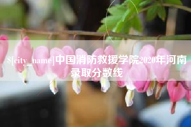 河南中国消防救援学院2020年河南录取分数线