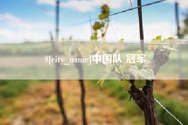 河南中国队 冠军