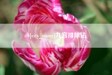河南九宫排除法