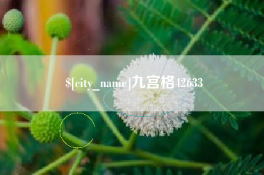 河南九宫格42633