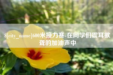 河南600米接力赛-在同学们震耳欲聋的加油声中