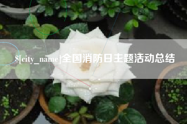 河南全国消防日主题活动总结