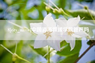 河南中国消防救援学院管严吗