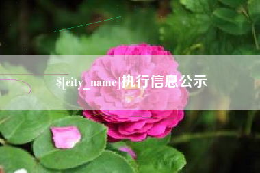 河南执行信息公示