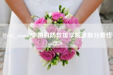 河南中国消防救援学院录取分数线2020