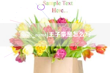 河南王子豪是怎么写