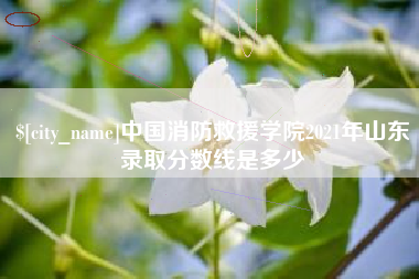 河南中国消防救援学院2021年山东录取分数线是多少
