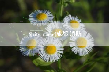 河南成都 消防